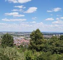 stilvolle, modern renovierte Wohnung mit Panoramblick - Gerlingen