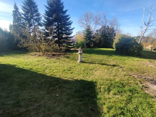 Foto - Einfamilienhaus in Eilsleben zum Kaufen