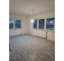 Grundsanierte Unterwohnung - 900,00&nbsp;EUR Kaltmiete, ca.&nbsp; 90,00&nbsp;m&sup2; in Rhauderfehn (PLZ: 26817)