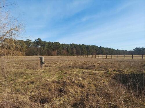 Foto - 3 Zimmer Bungalow in Friesack