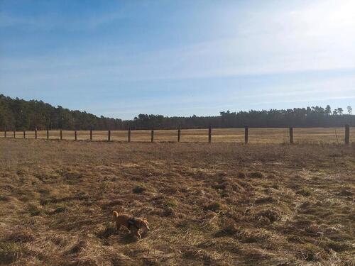 Foto - Bungalow in Friesack zur Miete