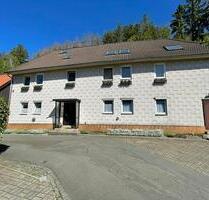 2-Ebenen-Maisonette-Wohnung (131 qm) in OkerGoslar