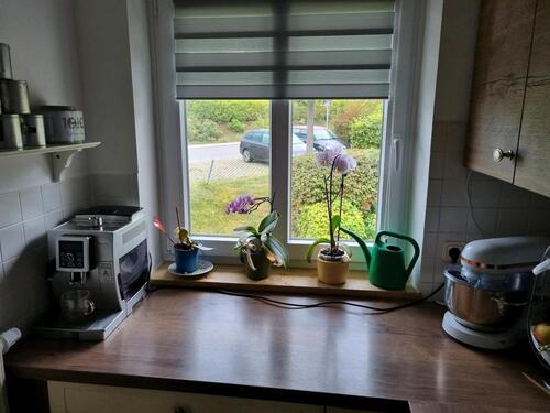 Foto - Etagenwohnung in Zwickau