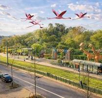 Bürofläche in Top - Innenenstadtlage von Karlsruhe