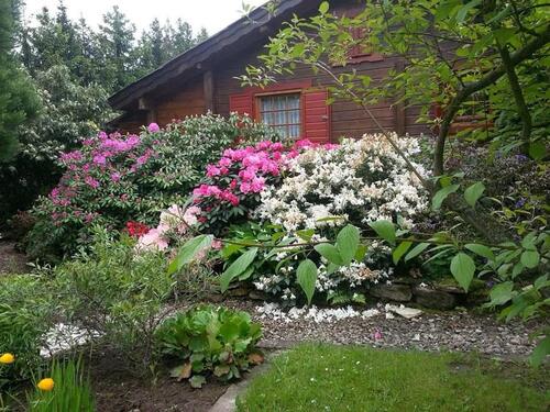 Foto - Grundstück zur Miete in Vacha