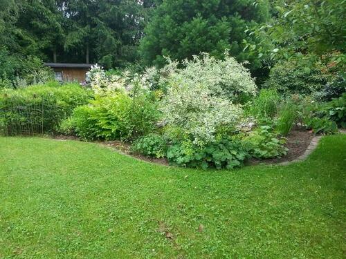 Foto - Grundstück in Vacha zur Miete