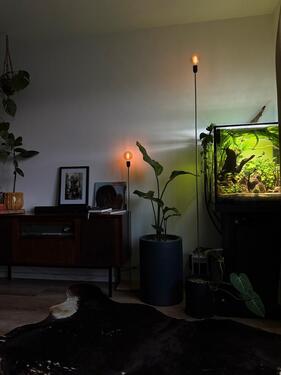 Foto - Etagenwohnung in Berlin