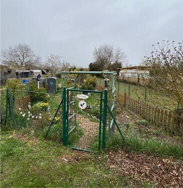 Foto - Grundst&uuml;ck zur Miete in Haßloch