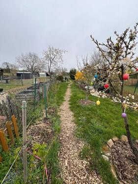 Foto - Grundst&uuml;ck in Haßloch zur Miete