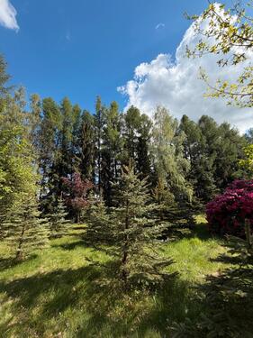 Foto - Grundst&uuml;ck in Kottmar