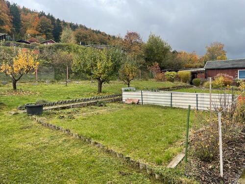 Foto - Garten mit Hütte und Gewächshaus