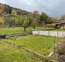 Garten mit Hütte und Gewächshaus - Zella-Mehlis