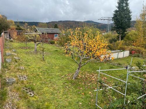 Foto - Grundst&uuml;ck zur Miete in Zella-Mehlis