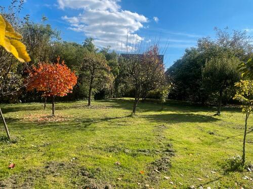 Foto - 2 Zimmer Erdgeschoßwohnung zur Miete in Gengenbach