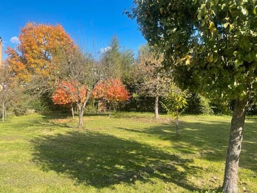 Foto - Erdgeschoßwohnung in Gengenbach zur Miete