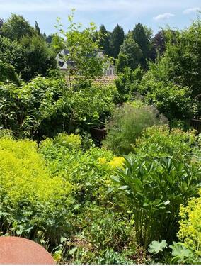 Foto - Kleiner Pachtgarten mit Potential am Rande Altensteiner Park