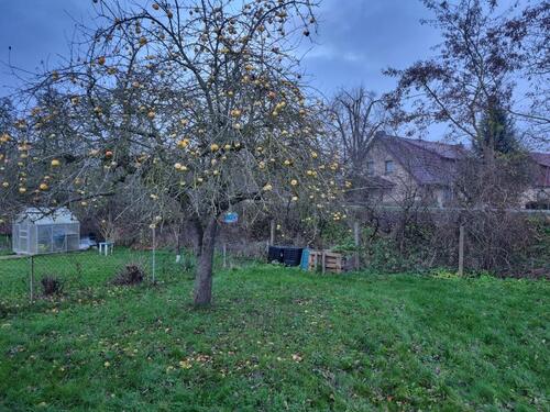 Foto - Grundst&uuml;ck in Teterow