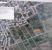 Gartengrundstück in Kapsweyer - 100,00&nbsp;EUR Kaltmiete, ca.&nbsp; 0,00&nbsp;m&sup2; in Klingenmünster (PLZ: 76889)