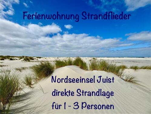 Foto - Nordseeinsel Juist, FREI Ferienwohnung Strandflieder, 1-3 Pers.