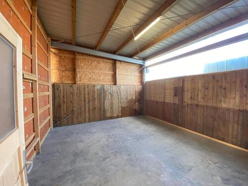 Foto - andere in Garding