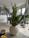 Foto - 3 Zimmer Maisonettenwohnung zum Kaufen in Ketsch