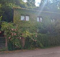 4 ZKB Einfamilienhaus in Traumlage voll sanierungsbedürftig - Bodenwerder