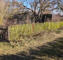 Kleingarten mit Potenzial in ruhiger Lage in Halle Frohe Zukunft - Halle (Saale)