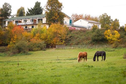 Foto - Einfamilienhaus zum Kaufen in Emmelshausen