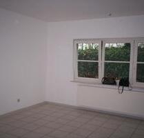 Lu-Edigheim, 2ZKB, hell, gepflegt, mit PKW- Stellplatz - Ludwigshafen am Rhein