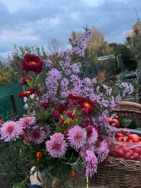 Foto - Grundst&uuml;ck in Magdeburg