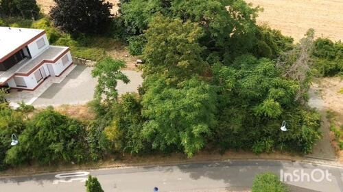 Foto - 6 Zimmer Villa zum Kaufen in Kindenheim