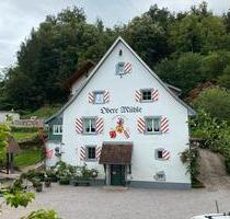 Einzimmerwohnung - 500,00&nbsp;EUR Kaltmiete, ca.&nbsp; 30,00&nbsp;m&sup2; in Dogern (PLZ: 79804)