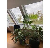 Exklusive 3,5 Zimmer Wohnung (Haustierfreundlich) - Filderstadt