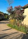 Foto - Landhaus Apuseniberge Rumänien bezugsfertig Ideal für Auswanderer
