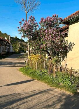 Foto - Landhaus Apuseniberge Rumänien bezugsfertig Ideal für Auswanderer