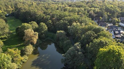 Foto - Einfamilienhaus in Wolfsburg zum Kaufen