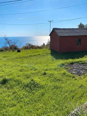 Foto - Einfamilienhaus in Dresden
