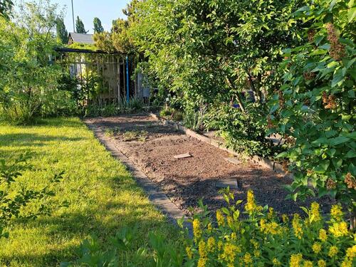 Foto - Grundst&uuml;ck zur Miete in Halle (Saale)