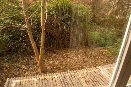 Foto - Erdgeschoßwohnung in Konstanz zur Miete