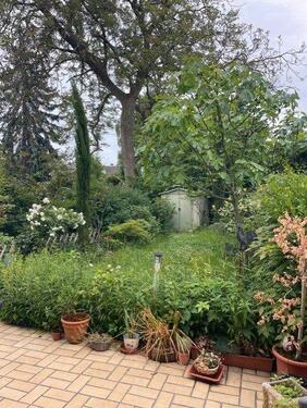 Foto - Reihenhaus zum Kaufen in Köln