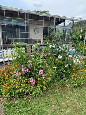 Foto - Grundst&uuml;ck zur Miete in Salzatal