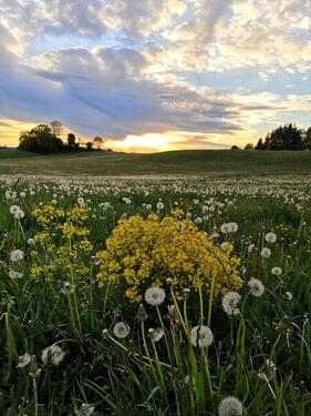 Foto - EFHaus (massiv&neuw.) 1 Stde westlich von München
