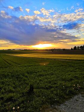 Foto - Einfamilienhaus zum Kaufen in München