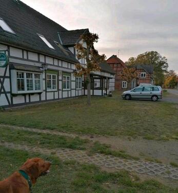 Foto - 