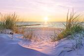 Foto - andere in Prerow