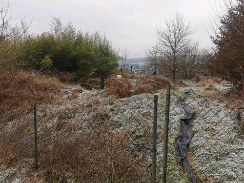 Foto - Grundst&uuml;ck zur Miete in Erbach