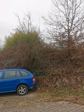 Foto - Grundst&uuml;ck in Erbach