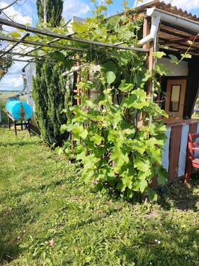 Foto - Grundst&uuml;ck in Sömmerda zur Miete