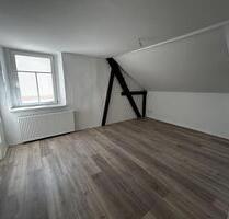 hochwertig sanierte Wohnung mit Wanne & Dusche - Stellplatz bei Bedarf - Döbeln