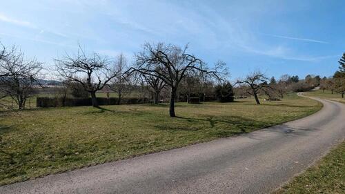 Foto - Streuobstwiese zur Pacht in Hildrizhausen